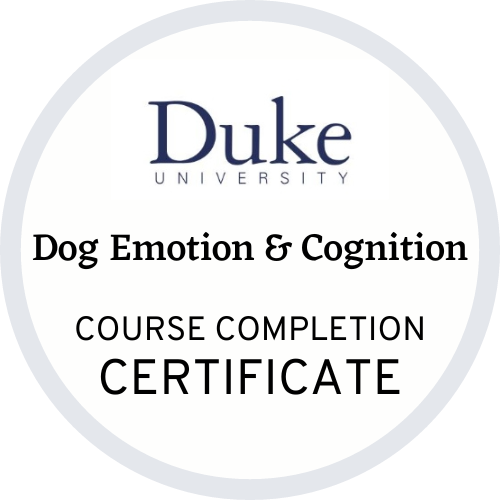 Duke University Dog Emotion & Cognition Course Completion Certificate